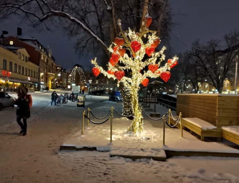 Stockholm: Private Magical Swedish Christmas Tour 2h - Why It’s a Great Value