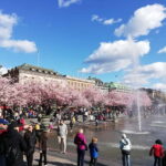 Stockholm: Scandinavian Architecture & Design Ostermalm Tour - Practical Details and Value