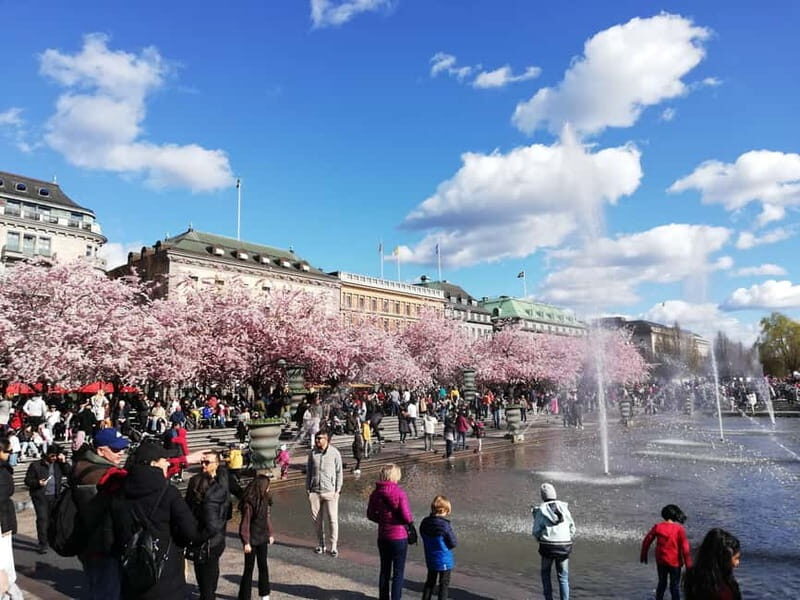 Stockholm: Scandinavian Architecture & Design Ostermalm Tour - Practical Details and Value