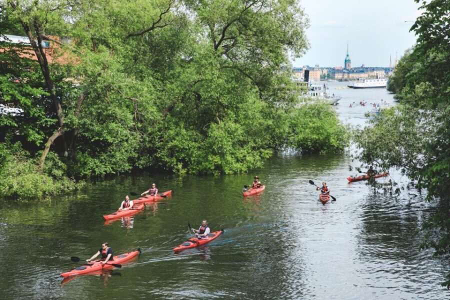Stockholm: Self-Guided 1 or 2-Person Kayak Tour - A Deep Dive into the Kayak Tour