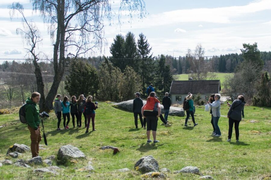 Stockholm: Sigtuna and Uppsala Viking History Day Tour - A Full Review: Why This Tour Could Be a Highlight of Your Stockholm Visit