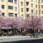 Stockholm Tour with a Local: Explore Hip And Bohemian Sodermalm - FAQ