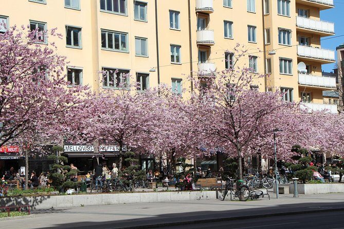 Stockholm Tour with a Local: Explore Hip And Bohemian Sodermalm - FAQ