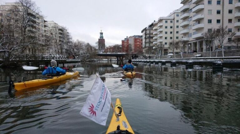 Stockholm: Winter City Kayaking Tour - Who Should Consider This Tour?