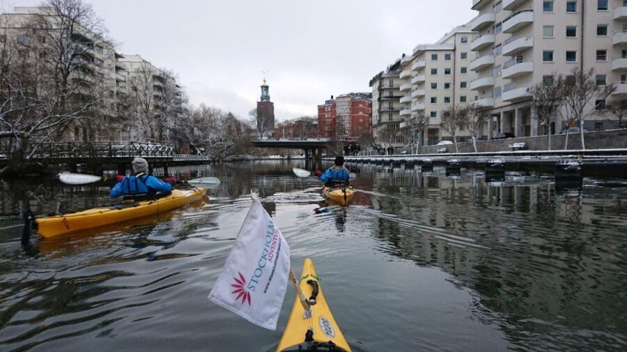 Stockholm: Winter City Kayaking Tour - Who Should Consider This Tour?