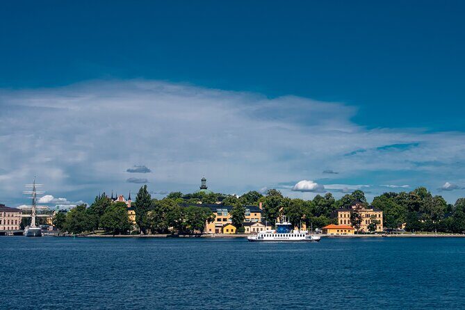 Stockholms Splendor: A 6-Hour Walk Through Culture & History - Who Should Consider This Tour?
