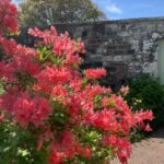 Stone & Story: Rosslyn Chapel & Melrose Abbey Day Trip - Why This Tour Offers Good Value
