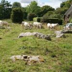Stonehenge, Avebury, and West Kennet Long Barrow from Salisbury - Who Is This Tour Best For?