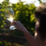 Strange Bird Flight of 3 Wine & Cheese - Who Should Consider This Tour?