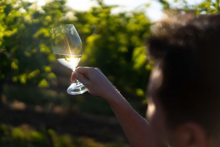 Strange Bird Flight of 3 Wine & Cheese - Who Should Consider This Tour?