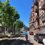 Strasbourg: Bike Tour with a Guide bikes included - The Value of the Experience