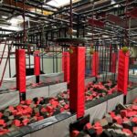 Strasbourg - Ninjastorm: Entrance to the obstacle course - Why Ninjastorm Offers Good Value