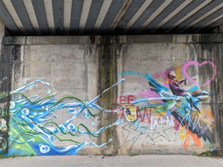 Strasbourg : Street-Art Tour - Practical Details and Tips