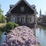 Strasbourg: Walking Tour with Local Guide - Highlighting Strasbourg’s Iconic Sights