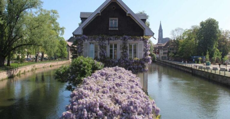 Strasbourg: Walking Tour with Local Guide - Highlighting Strasbourg’s Iconic Sights