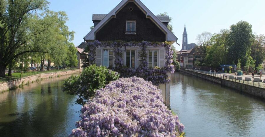 Strasbourg: Walking Tour with Local Guide - Highlighting Strasbourg’s Iconic Sights