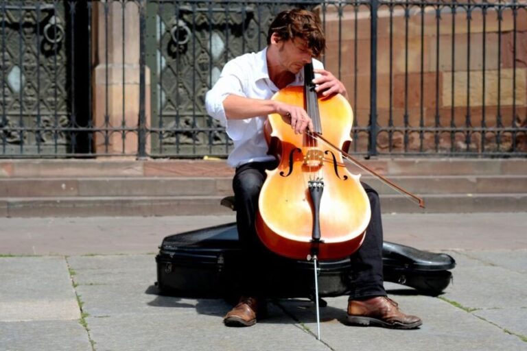Strasbourgs Art and Culture revealed by a Local - Why This Tour Offers Great Value