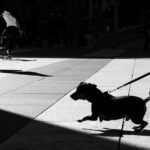 Street Photography Workshops in London - Who Will Benefit Most?