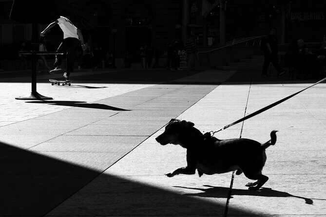 Street Photography Workshops in London - Who Will Benefit Most?