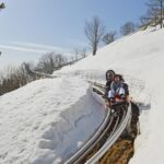 Stresa: Alpyland Alpine Coaster Ride on Mount Mottarone - Who Should Consider This Experience?