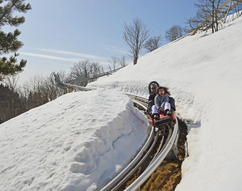 Stresa: Alpyland Alpine Coaster Ride on Mount Mottarone - Who Should Consider This Experience?