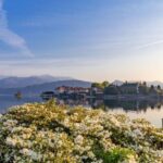 Stresa: Isola Madre and Isola Bella Hop-On Hop-Off Boat Tour - A Closer Look at the Experience