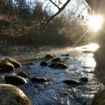 Stroll Back in Time Smokies History Streams and Forest Hike - Who Will Enjoy This Tour?