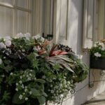 Stroll Historic South of Broad in Charlestons Walled City - Who Will Love This Tour?