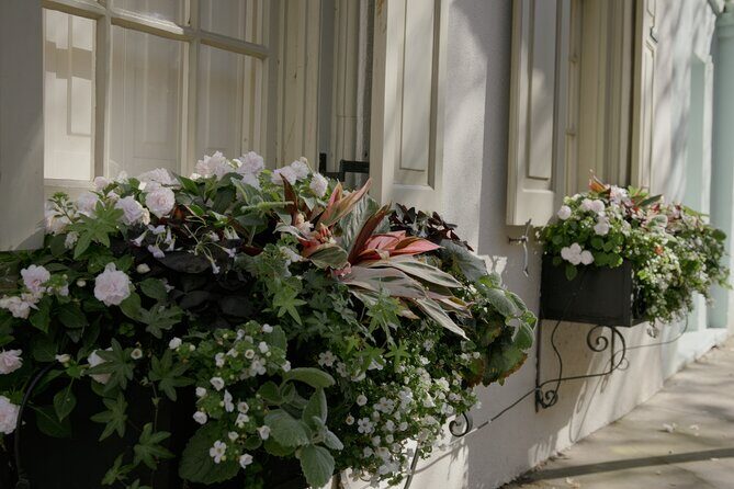 Stroll Historic South of Broad in Charlestons Walled City - Who Will Love This Tour?