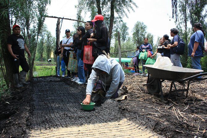 Stroll in the famous floating gardens of ancient Mexico - Who Should Consider This Tour?