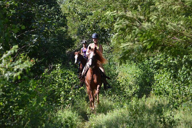 STROLL the Jungle Trails on a HORSE. Includes Transportation and Equipment. - What the Reviews Say