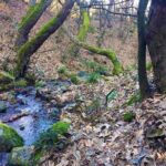 Strumica monasteries and waterfalls tour from Skopje - The Value of This Tour