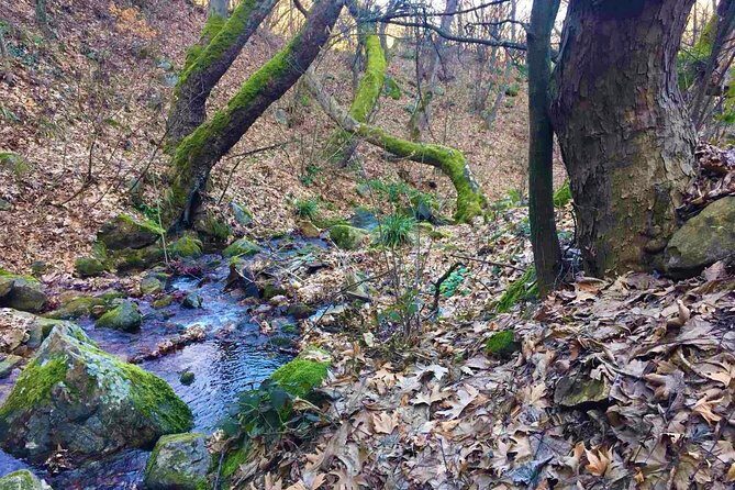 Strumica monasteries and waterfalls tour from Skopje - The Value of This Tour