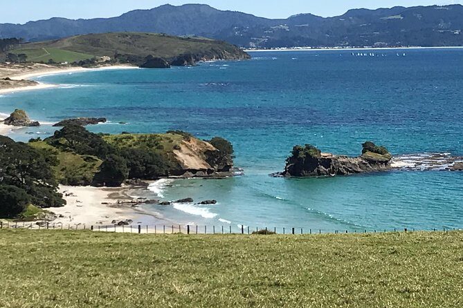 Stunning Auckland East Coast Walk & Wine Private Tour - Final Thoughts: Is This Tour for You?