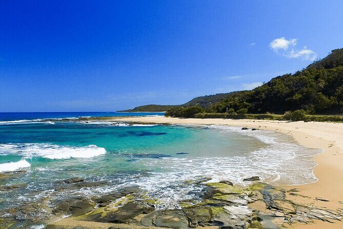 Stunning Great Ocean Road Day Tour | Pick Up From Melbourne - What We Think About the Experience