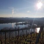 Stuttgart: 4-castle winter hike with costume tour - Final Thoughts