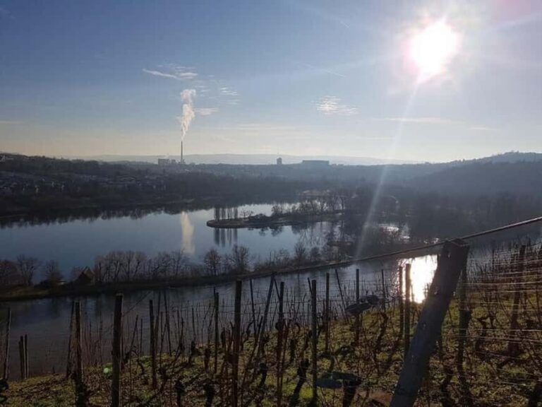 Stuttgart: 4-castle winter hike with costume tour - Final Thoughts