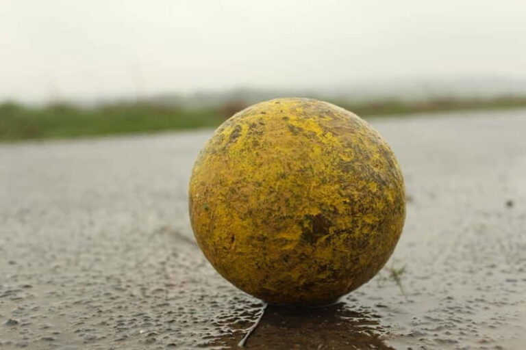 Stuttgart: Boßeltour with guide - Key Points