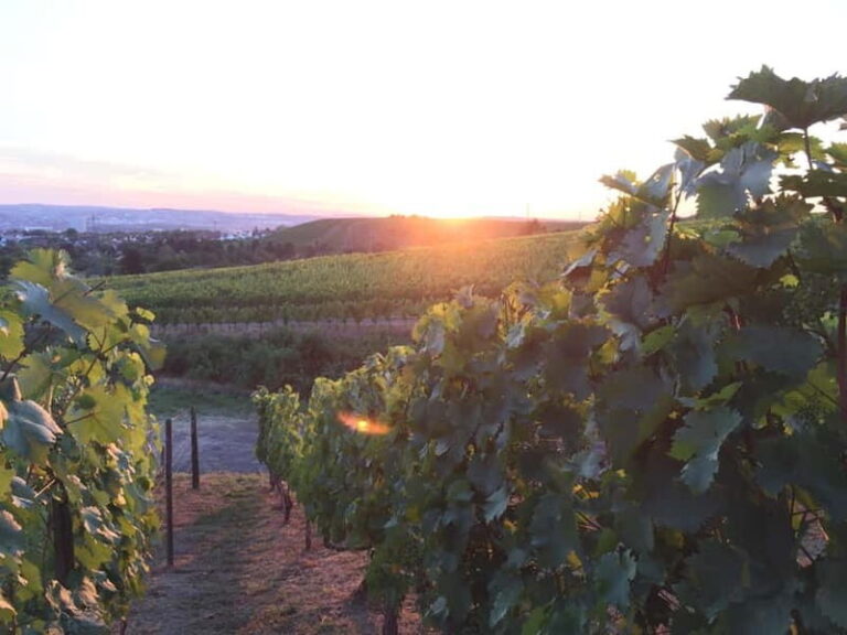 Stuttgart: E-bike wine tour including tasting - The Itinerary: From Vineyards to Views