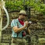 Stuttgart: Guided Vineyards Tour - Why This Tour Works Well