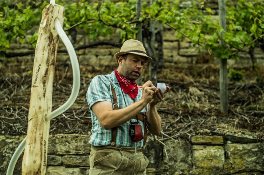 Stuttgart: Guided Vineyards Tour - Why This Tour Works Well