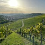Stuttgart: Sparkling Wine Tour - Final Summary