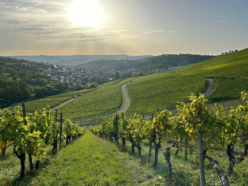 Stuttgart: Sparkling Wine Tour - Final Summary