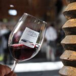 Stuttgart: Stuttgart Wine Museum Wine Tasting - Who Will Love This Experience?