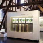Stuttgart: Taster tour of the Wine Museum incl. 0.1 l wine - FAQ