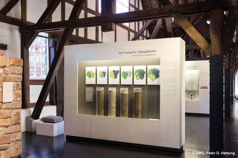 Stuttgart: Taster tour of the Wine Museum incl. 0.1 l wine - FAQ