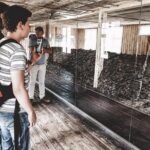 Stutthof Concentration Camp English Tour with Gdansk Hotel pickup - Who Should Take This Tour