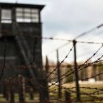 Stutthof Concentration Camp private tour - Who Will Love This Experience?