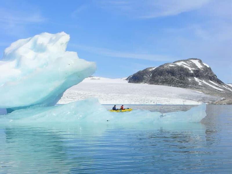 Stygge: Glacier Half Day Tour - What Makes This Tour Stand Out?