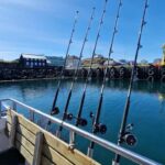 Stykkishólmur: Sea Angling Tour with Local Guide - In-Depth Review: What to Expect on the Sea Angling Tour from Stykkishólmur